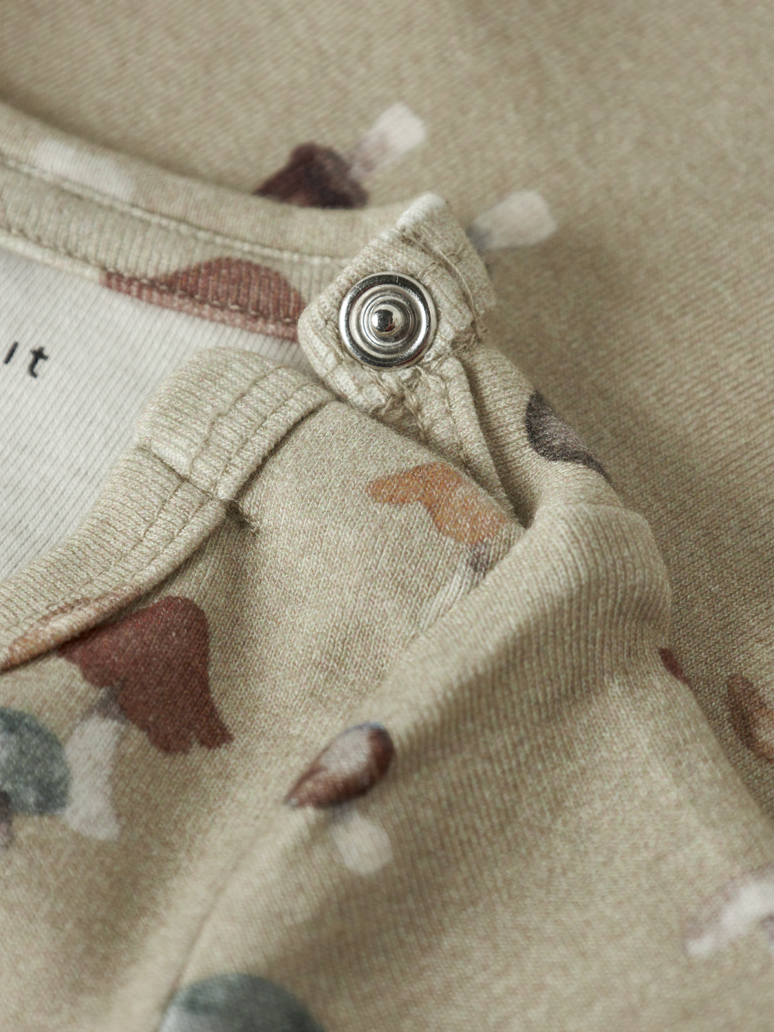 model_shot-front_full